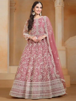 Net - Anarkali
