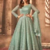 Butterfly Net - Anarkali