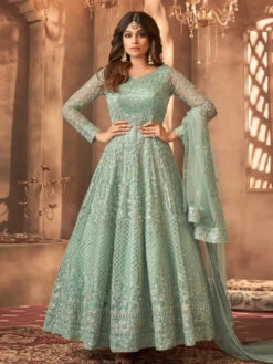 Butterfly Net - Anarkali