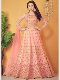 Premium Net Embroidery - Anarkali Dress