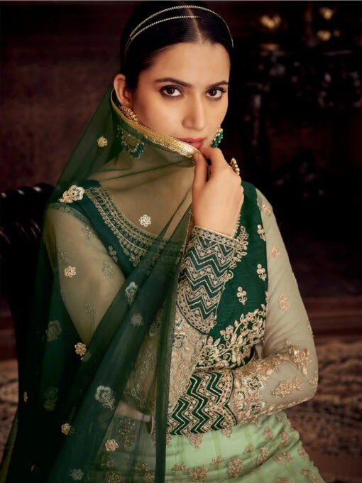 Heavy Embroidery On Net - Anarkali Dress - Image 4