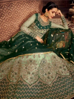 Heavy Embroidery On Net - Anarkali Dress -Harmony Shop Anarkali C662D 4