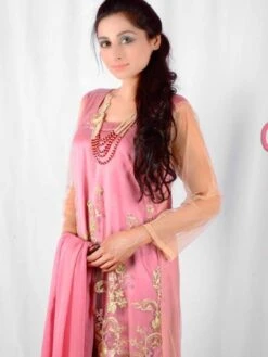Embroidered Net And Silk