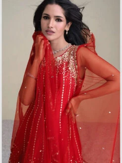 Silk Net Embroidery -Harmony Shop Indian Dress C1189A 2