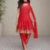Silk Net Embroidery -Harmony Shop Indian Dress C1189A 3