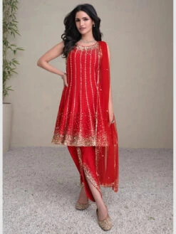Silk Net Embroidery -Harmony Shop Indian Dress C1189A 4