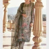 Chinon Sequence Embroidery -Harmony Shop Indian Dress C673D 2