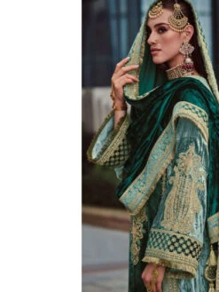 Silky Velvet Embroidery -Harmony Shop IndianClothes C1204G 1