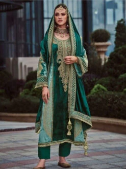 Silky Velvet Embroidery -Harmony Shop IndianClothes C1204G 3