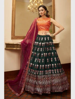 Embroidery On Georgette & Silk