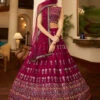 Embroidery On Georgette & Net