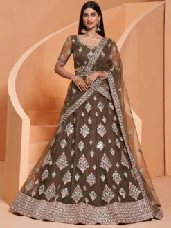 Embroidery On Net Sequins