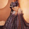 Velvet Sequins Embroidery -Harmony Shop Lehenga Choli L060C 1