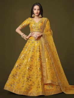 Art Silk & Net Embroidery