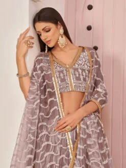 Embroidered Butterfly Net -Harmony Shop Lehenga Choli L076C 2