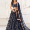 Butterfly Net Sequence -Harmony Shop Lehenga Choli L088D 2