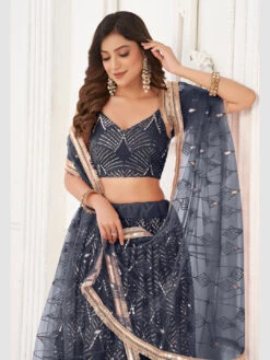 Butterfly Net Sequence -Harmony Shop Lehenga Choli L088D 3