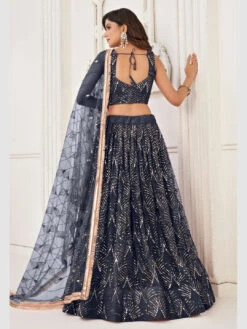 Butterfly Net Sequence -Harmony Shop Lehenga Choli L088D 4