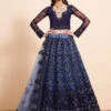 Premium Net Embroidery -Harmony Shop Lehenga Choli L090C 2