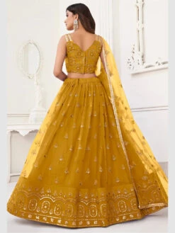 Butterfly Net Sequences -Harmony Shop Lehenga Choli L098C 1