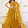 Butterfly Net Sequences -Harmony Shop Lehenga Choli L098C 2