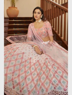 Embroidered Georgette & Net -Harmony Shop Lehenga L042E 1