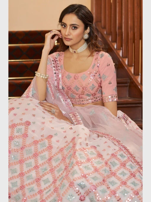 Embroidered Georgette & Net - Image 3