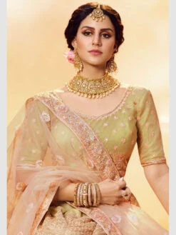 Embroidery On Net & Art Silk -Harmony Shop Lehenga L054C