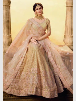 Embroidery On Net & Art Silk -Harmony Shop Lehenga L054C 3