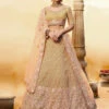 Embroidery On Net & Art Silk -Harmony Shop Lehenga L054C 4