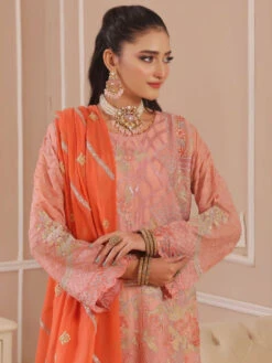 Premium Chiffon Embroidery -Harmony Shop Pakistani Clothes C1301C 2