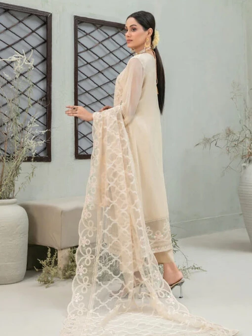 Tulin Embroidered Chiffon - Image 3