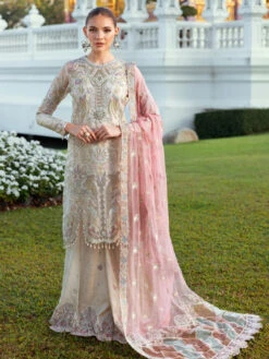 Designer Embroidered Organza