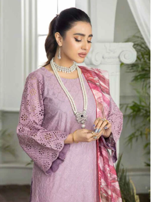 Embroidered Schiffli Chikankari - Image 4