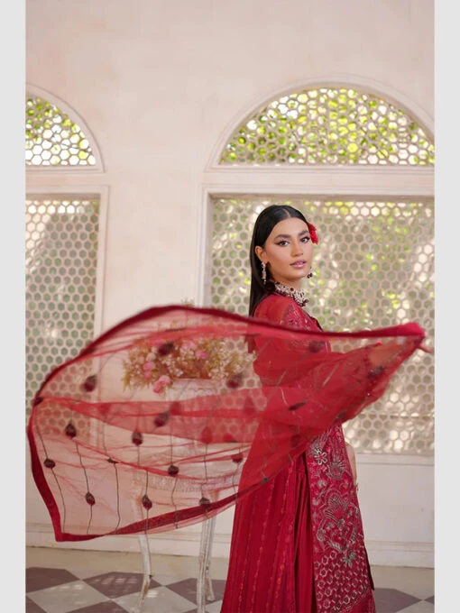 Embroidered Exclusive Chiffon - Image 5
