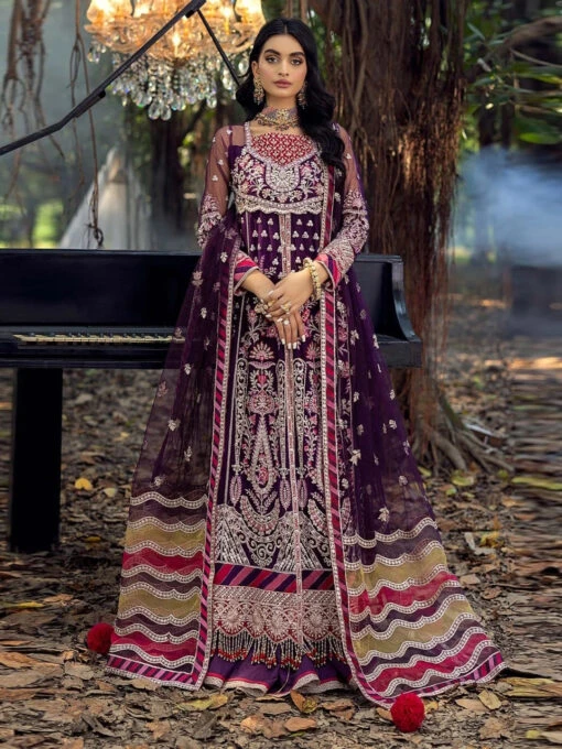 Festive Embroidered Net