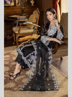 Luxe Embroidered Organza -Harmony Shop Pakistani Dress C1044J 4