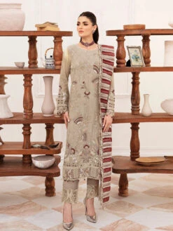 Embroidered Chiffon Designer