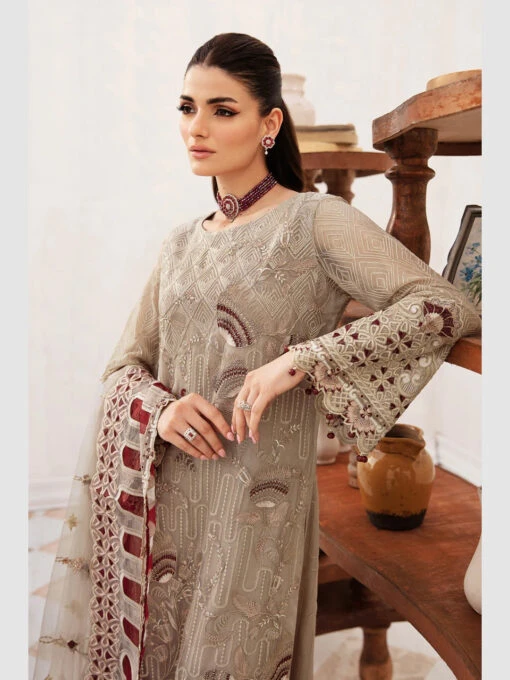 Embroidered Chiffon Designer - Image 3
