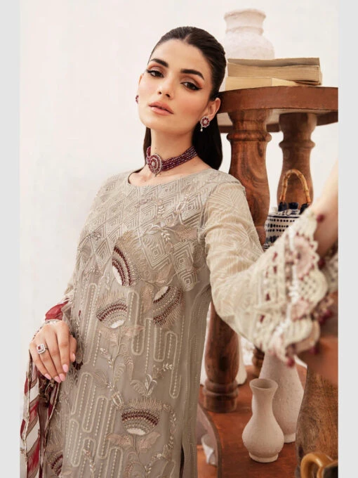 Embroidered Chiffon Designer - Image 4