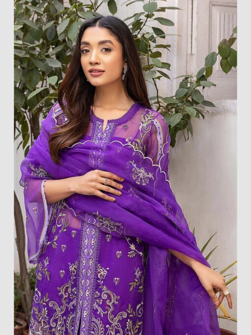 Chiffon Chimmer Embroidery - Image 2