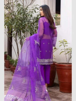 Chiffon Chimmer Embroidery -Harmony Shop Pakistani Dress C1101A 3