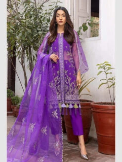 Chiffon Chimmer Embroidery -Harmony Shop Pakistani Dress C1101A 4