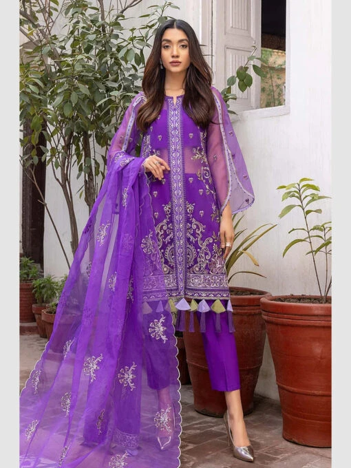 Chiffon Chimmer Embroidery - Image 4