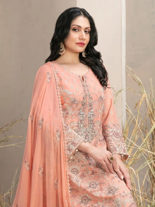 Embroidered Elegant Chiffon - Image 3