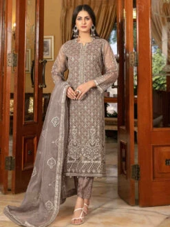 Fancy Embroidered Organza