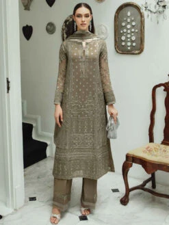 Exclusive Chiffon Embroidery