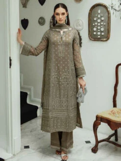Exclusive Chiffon Embroidery -Harmony Shop Pakistani Dress C1153F 3