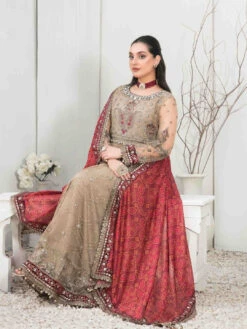 Embroidered Net Viscose -Harmony Shop Pakistani Dress C1164C 3