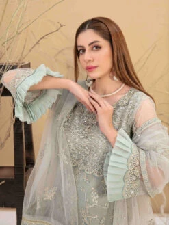 Embroidered NetJacquard -Harmony Shop Pakistani Dress C1168D 3